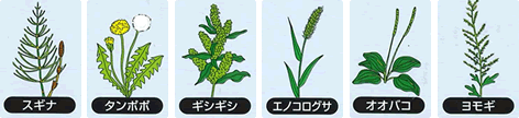 カペレン粒剤 雑草の種類